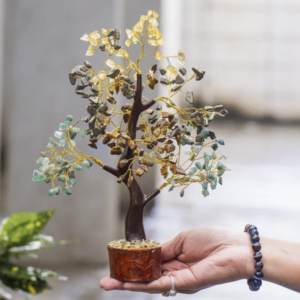 Energized Money Magnet Tree